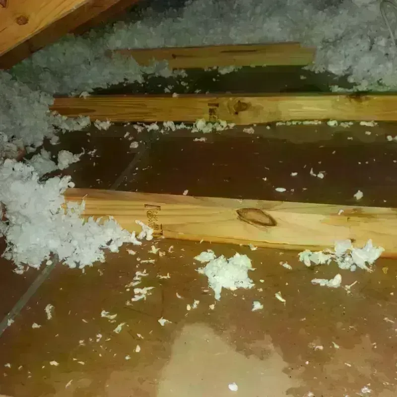 Attic Water Damage in Richford, VT