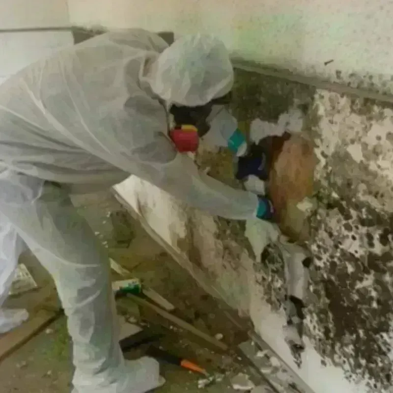 Mold Remediation and Removal in Richford, VT